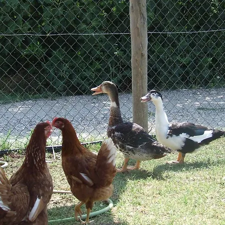 Séjour à la ferme Il Casale Di Rome