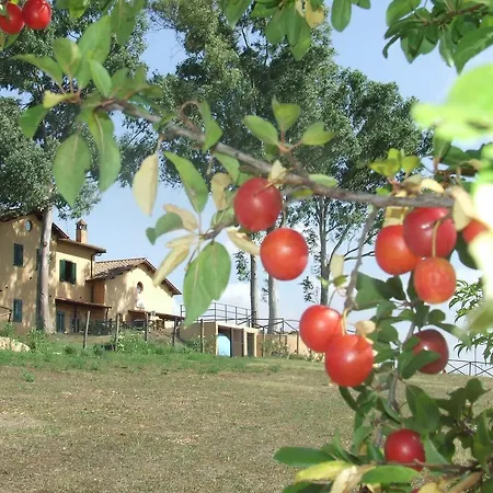 Il Casale Di Séjour à la ferme